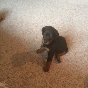 Meet your Posher, Jeff